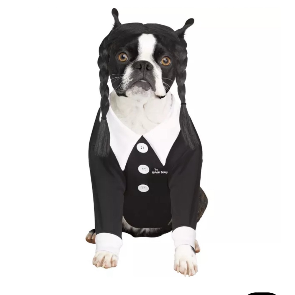 Wednesday Adam’s Pet Costume